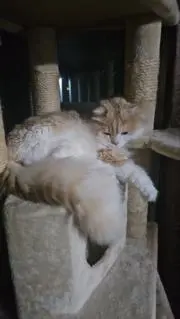 廣田翔の画像