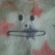 ひまわり