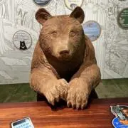 ふんわり名人の画像