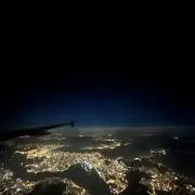 コロ助の画像