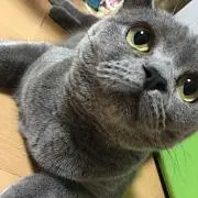 くまちゃん