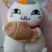 月猫