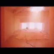 ゆの画像