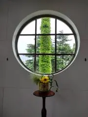 Image of m(_ _)m
