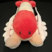 えび煎餅の画像