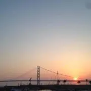 レイの画像