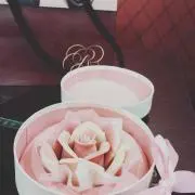 ぐみんちゅ♡