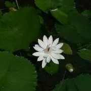 ＹＭＹの画像