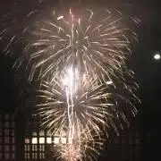 小鳥　プロフィール読んでください。の画像