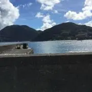 y03