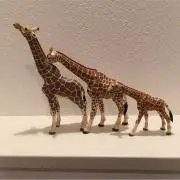 k-spadeの画像