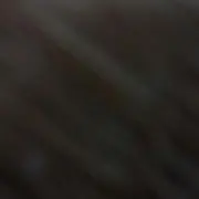 ポン