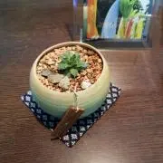 レモンの画像