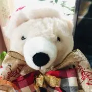 シロクマ