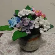 ペコの画像