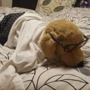 wtr 69の画像