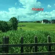 スメイラの画像