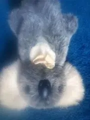 HIRO