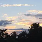 はやママ