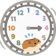 ゆの画像
