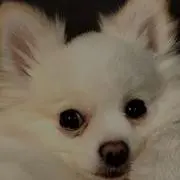 つなみ