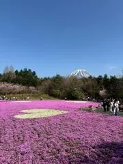 miumiyuの画像