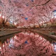 ウエボーの画像
