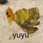 yuyu