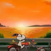 ムニウギの画像