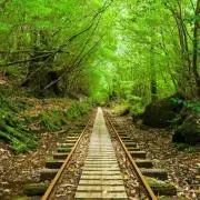 eco papanの画像