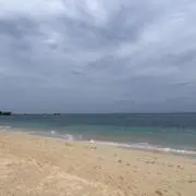 みちの画像