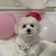 ゆかりん♡の画像