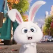 しろごまの画像
