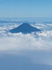 はやぴょんの画像