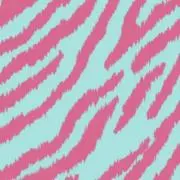 ruuの画像