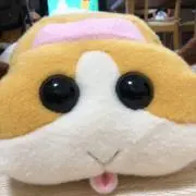 もる　プロフ必読　現在キャンペーン価格！の画像