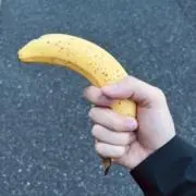 ゴンベの画像