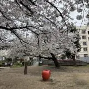 LOSINGOの画像