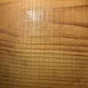 woodyの画像