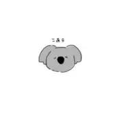 こあらの画像