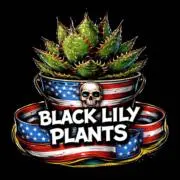 “BLACKLILY PLANTS”の画像