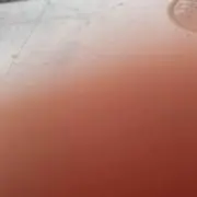 kkkkkkの画像