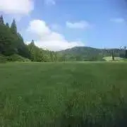 Tochi's  SHOPの画像