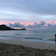 羊ヶ丘の画像