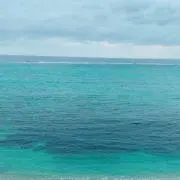 もんち