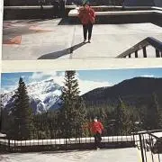 sgsの画像