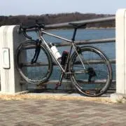 AMGの画像
