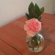 ゆかゆか