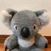 ママコアラの画像
