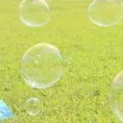 ぽにょの画像